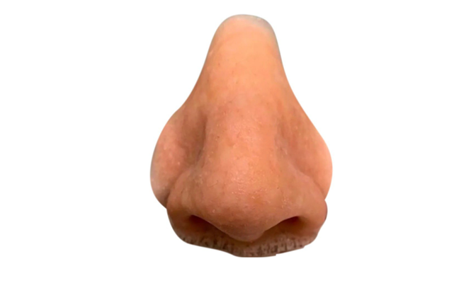 Artificial Nose